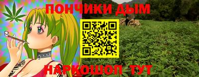 индика Северобайкальск