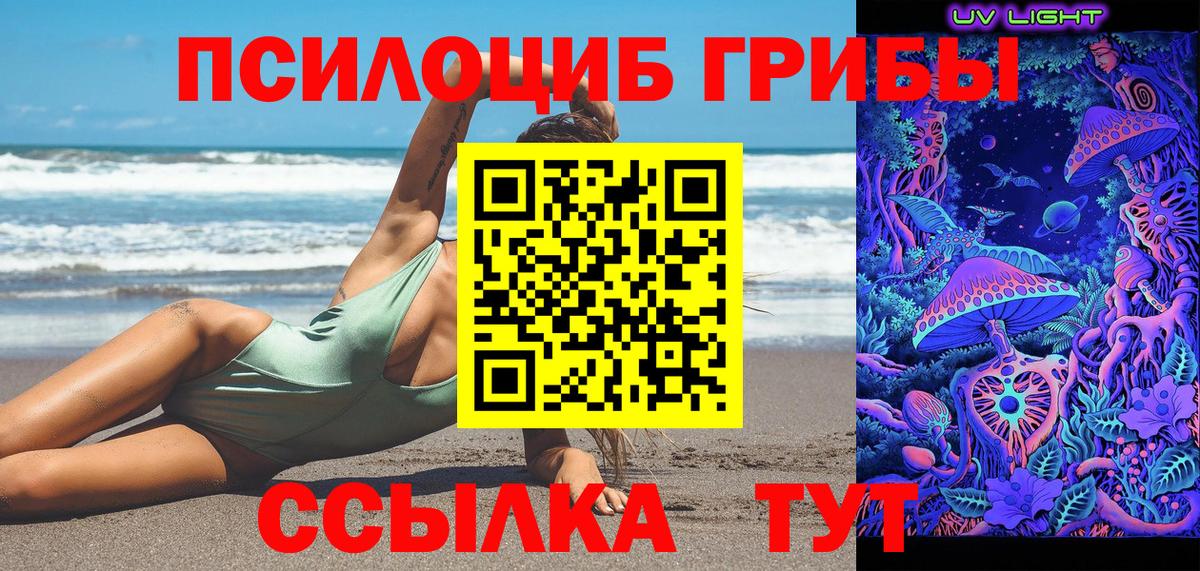 Галлюциногенные грибы Psilocybine cubensis Октябрьский